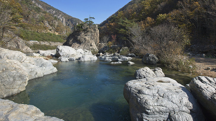 경북 촬영 영화 '왕과 사는 남자' 흥행