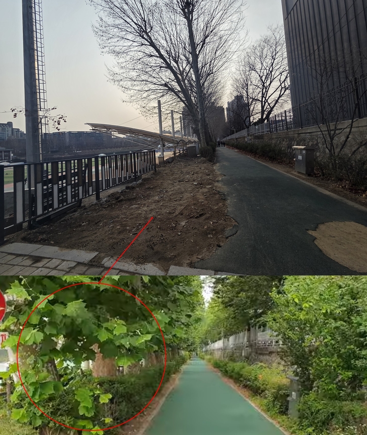 [부동산현장] 반포 재건축에 50년 전통 산책로 ‘위기’