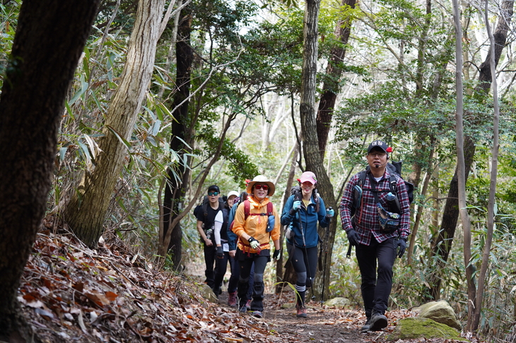 해남군“새봄, 걸으며 힐링하자