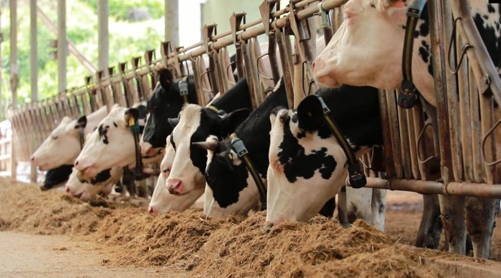 깨끗한 축산농장 지정농장  제공=부여군