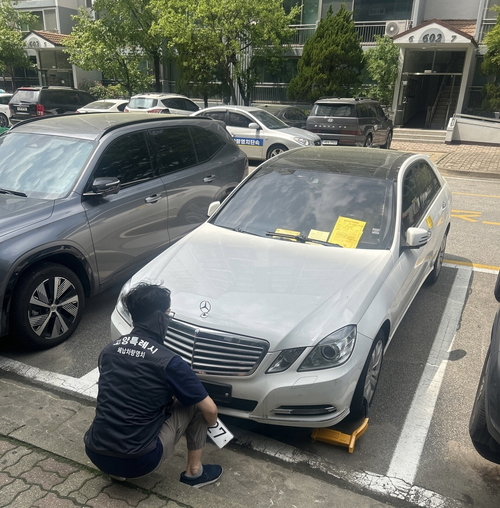 고양특례시 압류 자동차 집중 단속