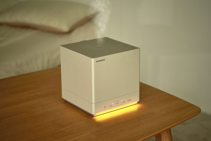 중견 가전기업, 틈새시장 공략 ‘몸집 불리기’