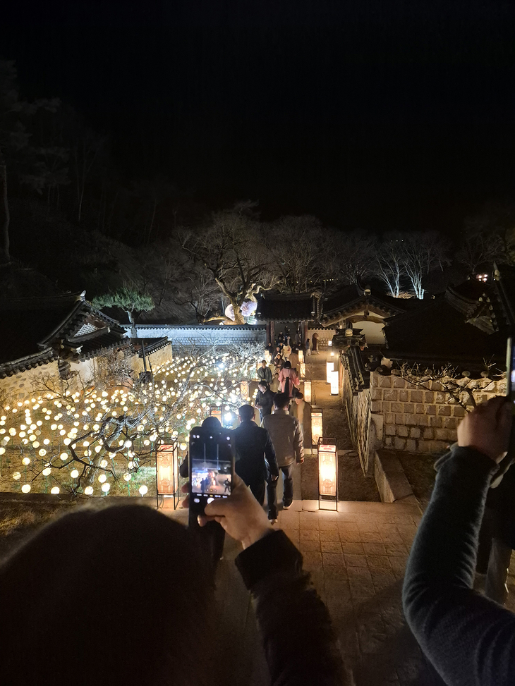 안동 도산서원 야간개장 '매화춘야' 절정