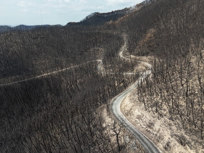 임도의 두 얼굴: 산불 진화 도움, 발생·확산도 부추겨