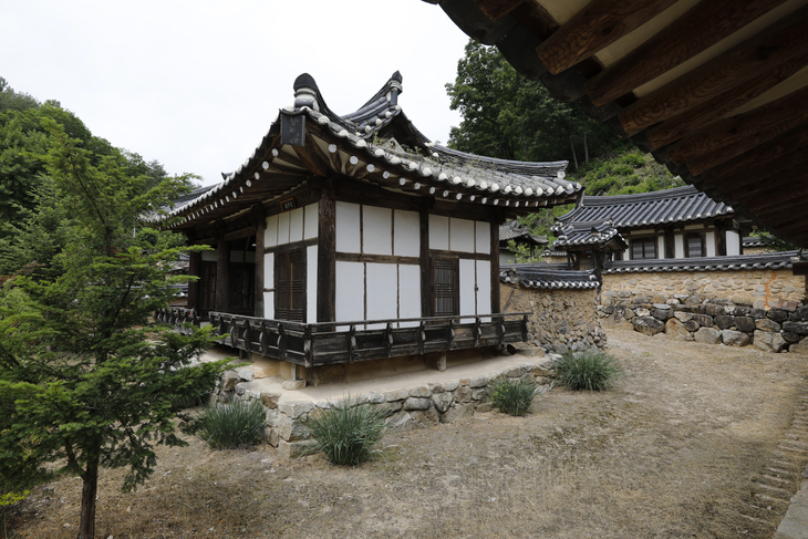 야옹 전응방과 야옹정