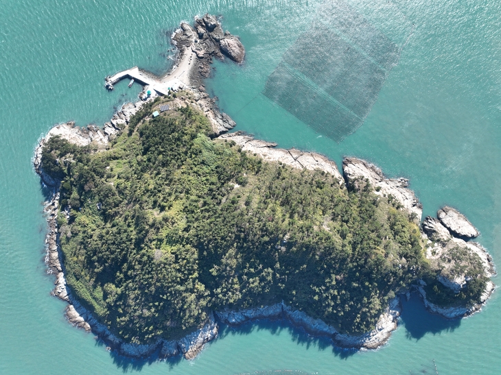 완도군, 올해 15억 투입 '작은 섬 공도 방지 사업' 추진