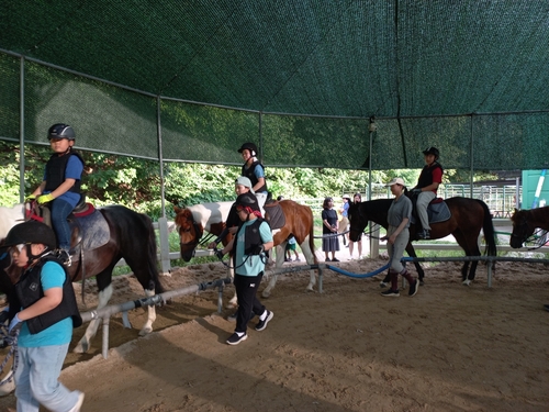 과천시 학생승마 지원사업 말타기 수업 현장