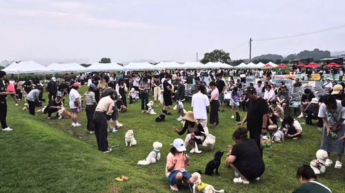시흥시 작년 6월21일 반려동물 운동회 '우리동네 개체능' 개최