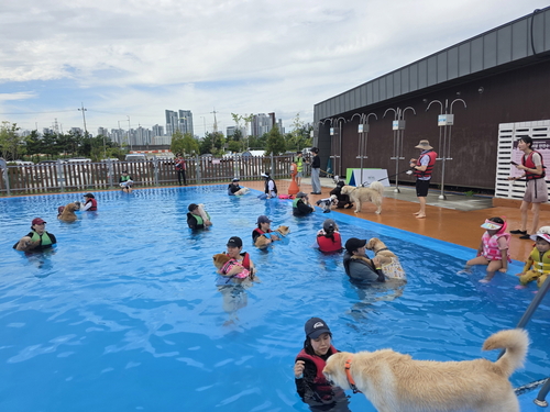 시흥시 반려동물 운동회 '2025년 멍푸멍푸' 현장