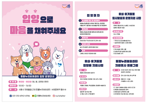 시흥시 반려동물 입양 홍보 전단