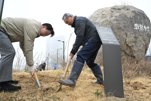 의정부시 28일 산곡동 독바위문화공원에서 수국 식재 진행
