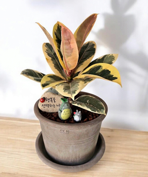 고양특례시 '나나데이' 현재 성찰그룹 완성품