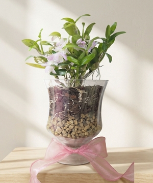 고양특례시 '나나데이' 과거 회상그룹 완성품