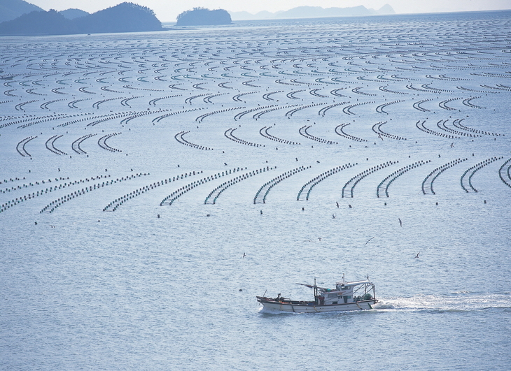 해남군, 수산물 유통·가공 분야 106억원 투입 어촌 경제 활력'총력'