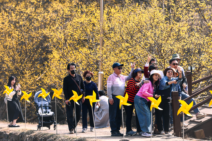 산수유마을 꽃맞이행사 성료