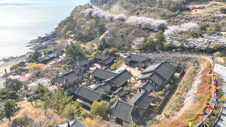 완도군, 해신 장보고 지구 관광 자원화 나선다!