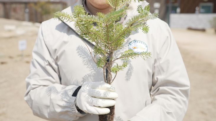 한국수목원정원관리원, 식목일 맞아 묘목 나눔…생활 속 녹색 실천 확산