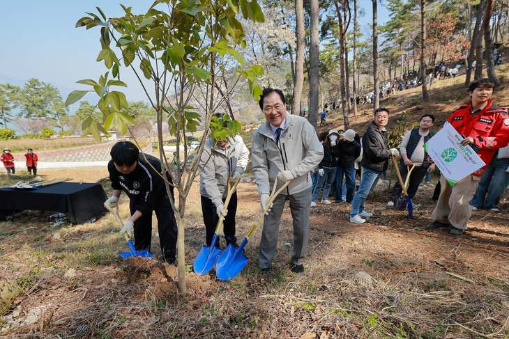 완도군, 식목일 맞아 군목 완도호랑가시 등 식재