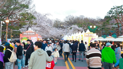 과천시 렛츠런파크 서울 벚꽃축제'에서 '과천 맛집 스트릿' 개최