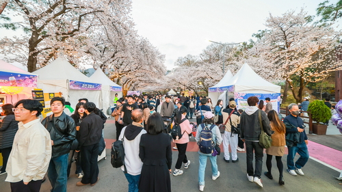 과천시 렛츠런파크 서울 벚꽃축제'에서 '과천 맛집 스트릿' 개최
