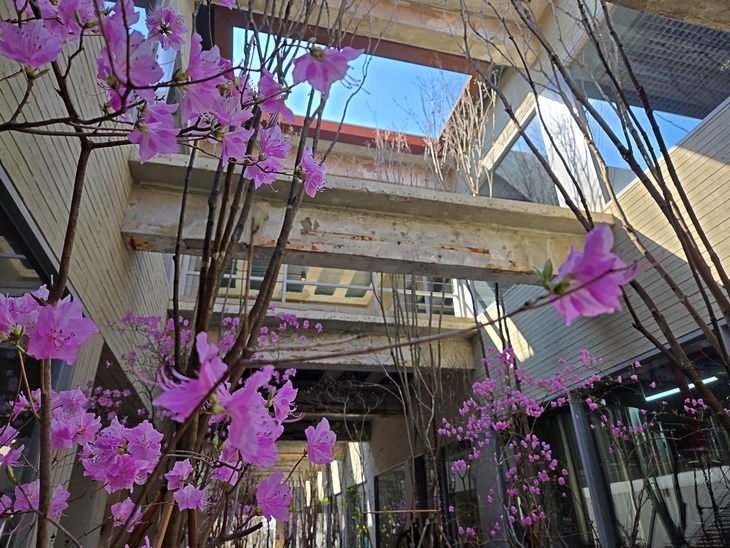 박봉담 중앙정원 천장이 뚫려있다.