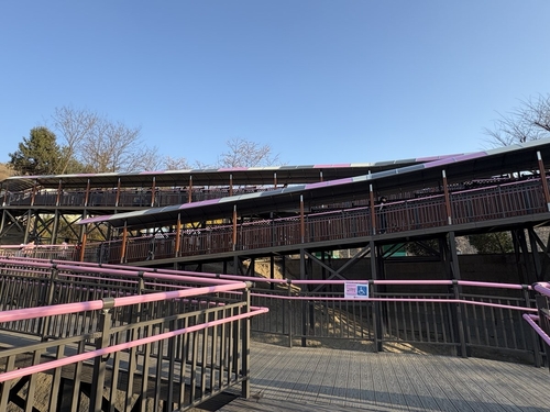 부천시 원미산 진달래동산 '무장애 데크로드' 조성