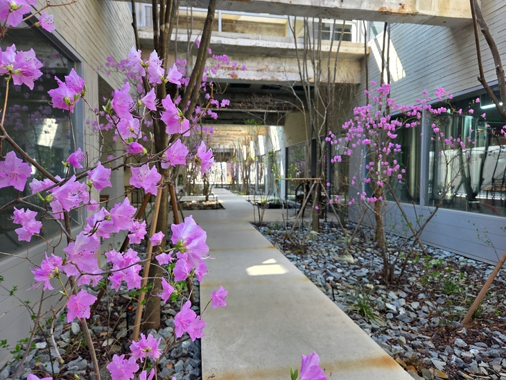 박봉담 중앙정원 진달레