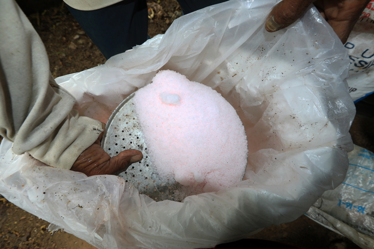 INDONESIA AGRICULTURE