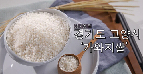 MBN '천하제빵' 세미파이널