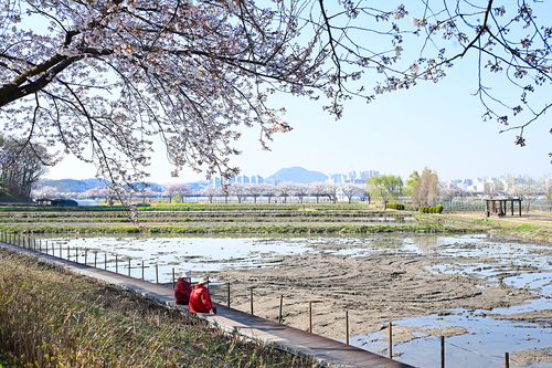 시흥시 연꽃테마파크