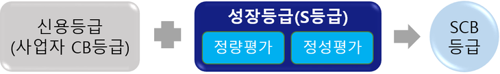 4대 시중은행(KB국민·신한·하나·우리)이 금융위원회가 주관하는 '소상공인 특화 신용평가모형(SCB)'을 활용한 금융지원 시범사업에 참여한다.