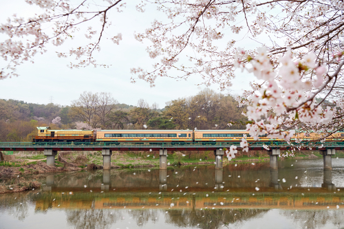 양주시 교외선 연계 당일형 관광상품  '봄바람 따라 왕실 나들이' 운영