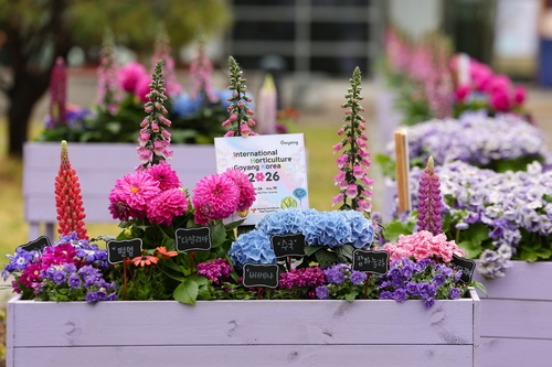 BTS 콘서트 열린 고양시 보랏빛 화훼 포토존 조성