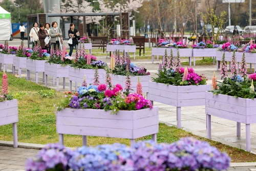 BTS 콘서트 열린 고양시 보랏빛 화훼 포토존 조성