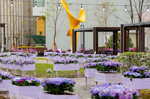 BTS 콘서트 열린 고양시 보랏빛 화훼 포토존 조성