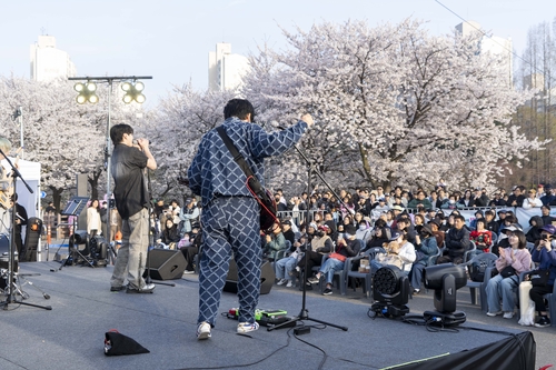 김포시-김포문화재단 11~12일 2026년 김포벚꽃축제 개최