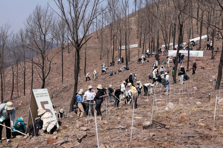 유한킴벌리, '우리강산 푸르게 푸르게 2026 신혼부부 나무심기' 개최