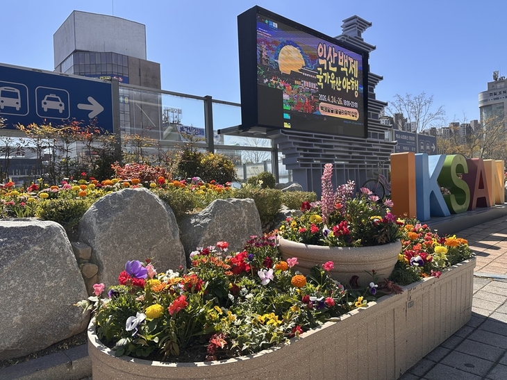 익산시, 도심 주요 거점 30개소에 봄꽃 4만 5,000본 식재