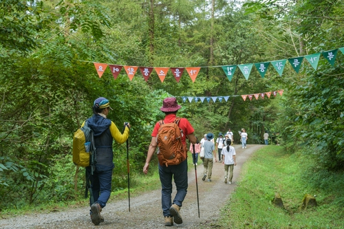 남양주시 2025년 광릉숲축제 현장