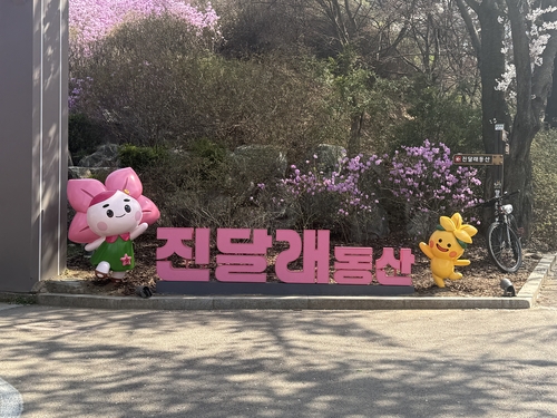 부천시 원미산 진달래동산 입구에 설치된 진스타와 나드리 포토존