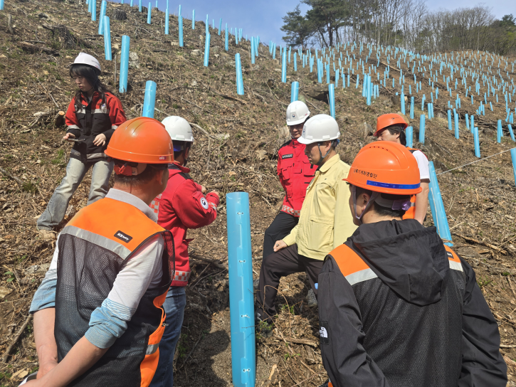 봄철 나무심기 사업 안전점검