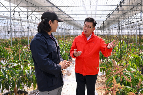 전진선 양평군수 16일 청년 귀농 3년차 김병연의 애플망고 농가 격려 방문