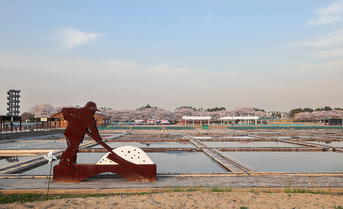 4월 16일 시흥 갯골생태공원