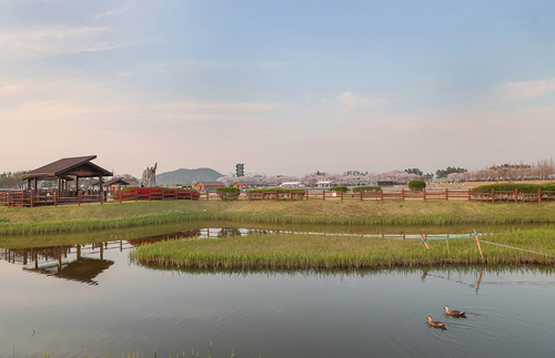 4월 16일 시흥 갯골생태공원