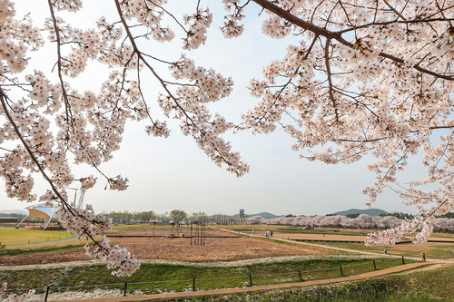 4월 16일 시흥 갯골생태공원