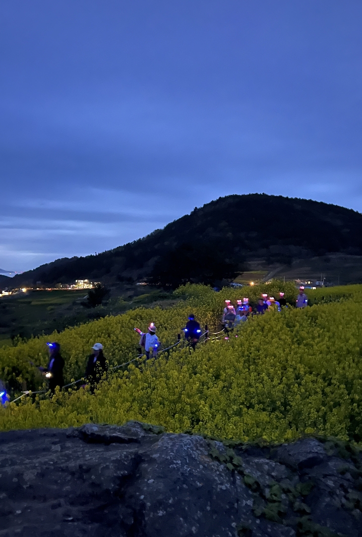 '밤에도 빛나는 청산도' 걷기·포토 투어 운영