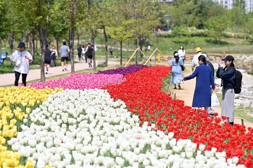 봄날 수놓은 '하남의 로맨스'