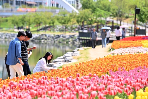 봄날 수놓은 '하남의 로맨스'
