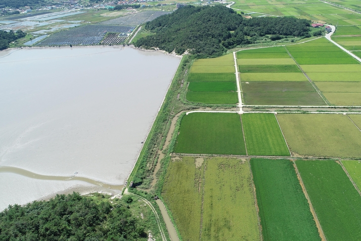완도군, 213억 투입 농경지 배수 개선 사업 박차