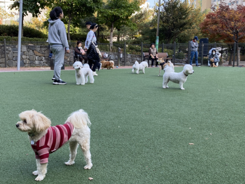 구리시 인창중앙공원